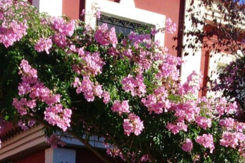 Salteras Casa Bignonia 빌라 외부 사진