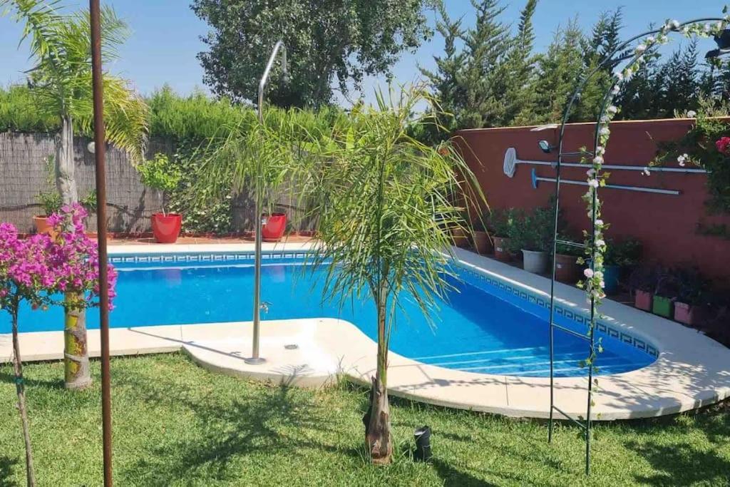 Salteras Casa Bignonia 빌라 외부 사진